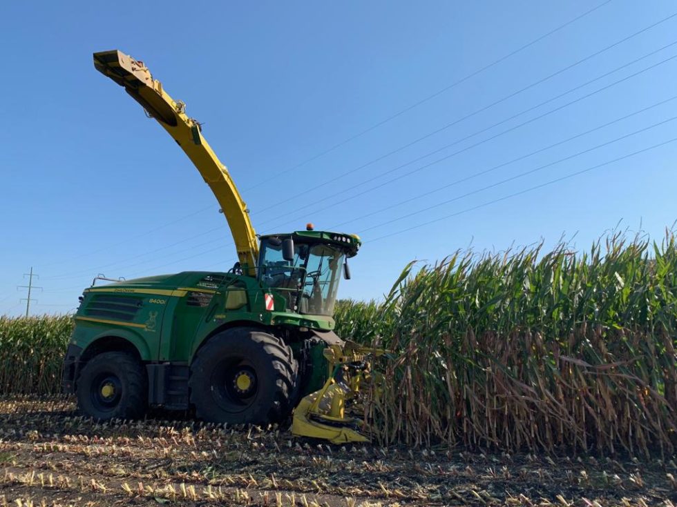 Ensilage maïs Entranord